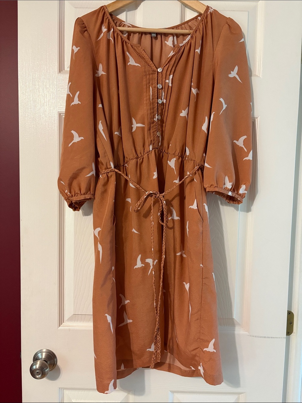 Daniel Rainn Rust Bird-Print Midi Dress